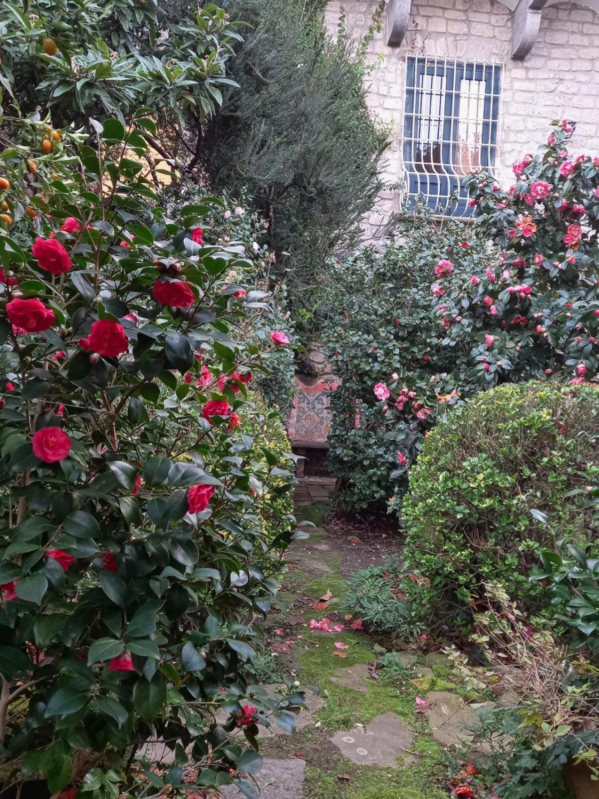 L'Antica Dimora Villa Meta Buitenkant foto