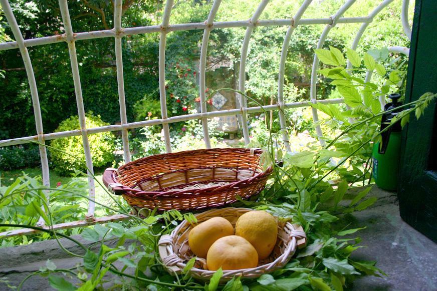 L'Antica Dimora Villa Meta Buitenkant foto
