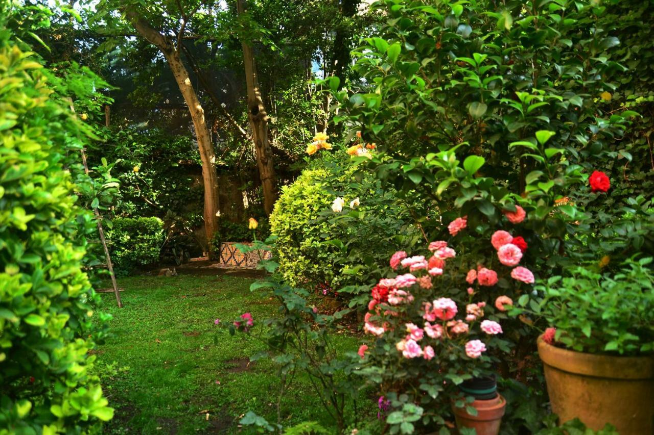 L'Antica Dimora Villa Meta Buitenkant foto