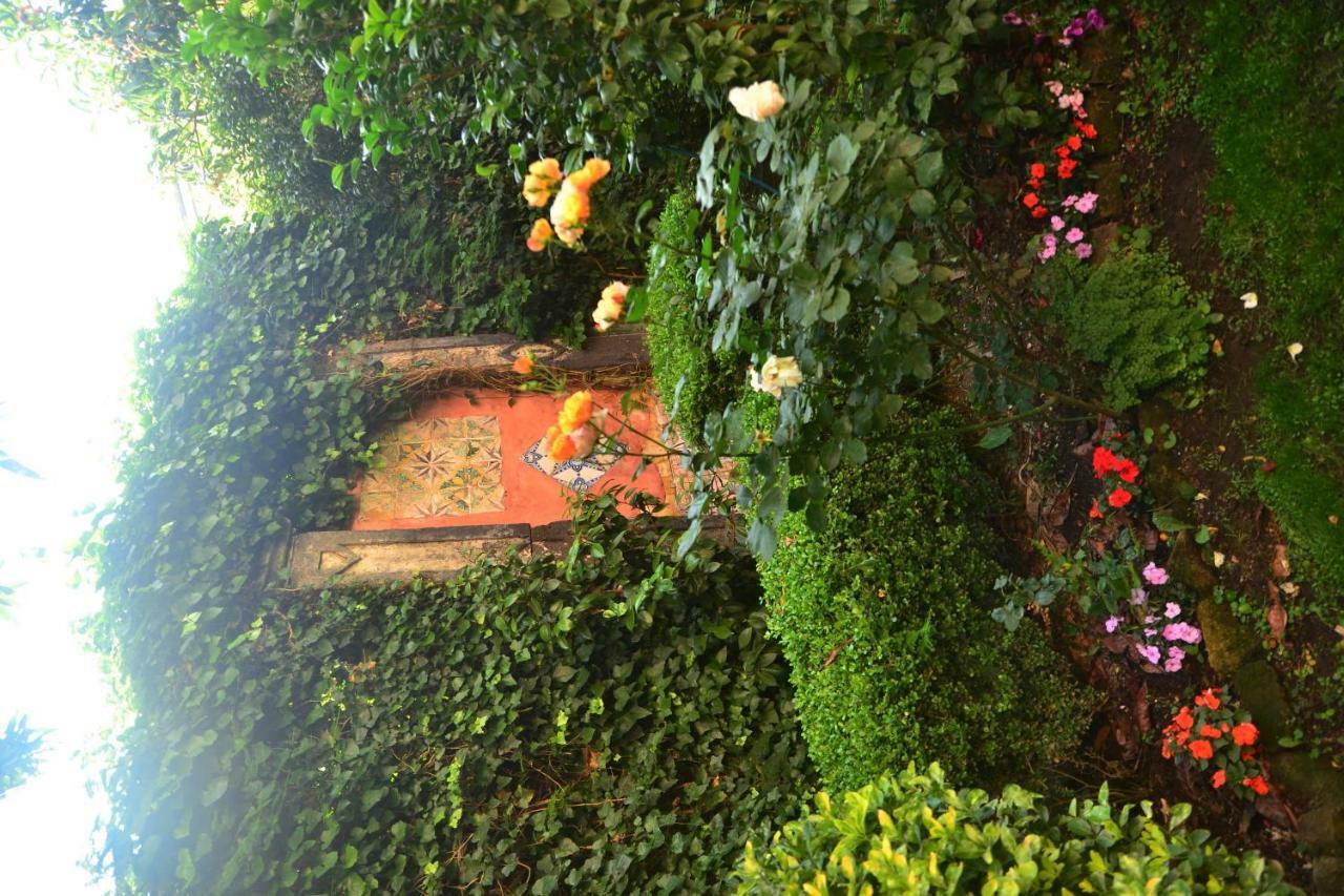 L'Antica Dimora Villa Meta Buitenkant foto