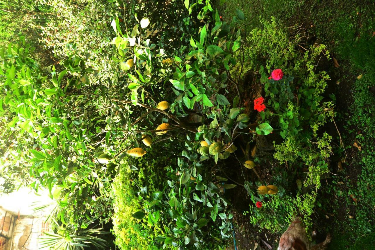 L'Antica Dimora Villa Meta Buitenkant foto